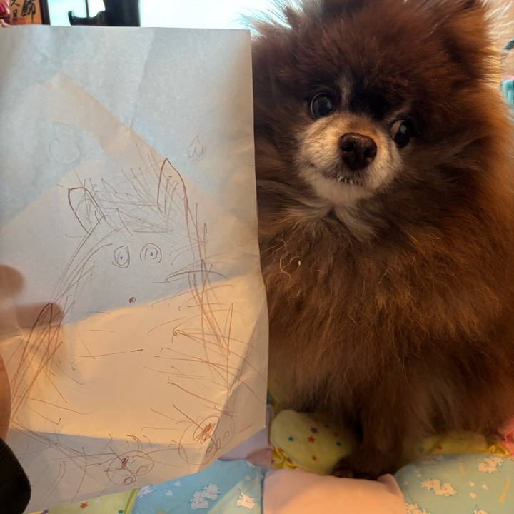 E509209b 85f2 49e6 a3a4 94fa6631ba6f 1739922363970