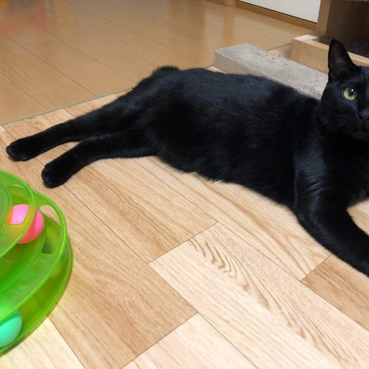 E50922eb e5ab 4608 a6b4 d0456448097e 1551359575973