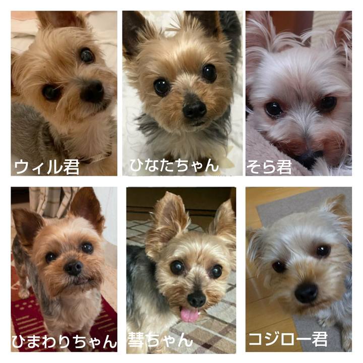 E5092602 3ae1 4256 90ce 538a4a8aa203 1594099146450