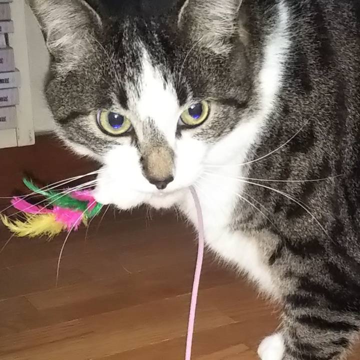 E50975e9 cffc 4d3c 82de f38ce649af47 1622968250004