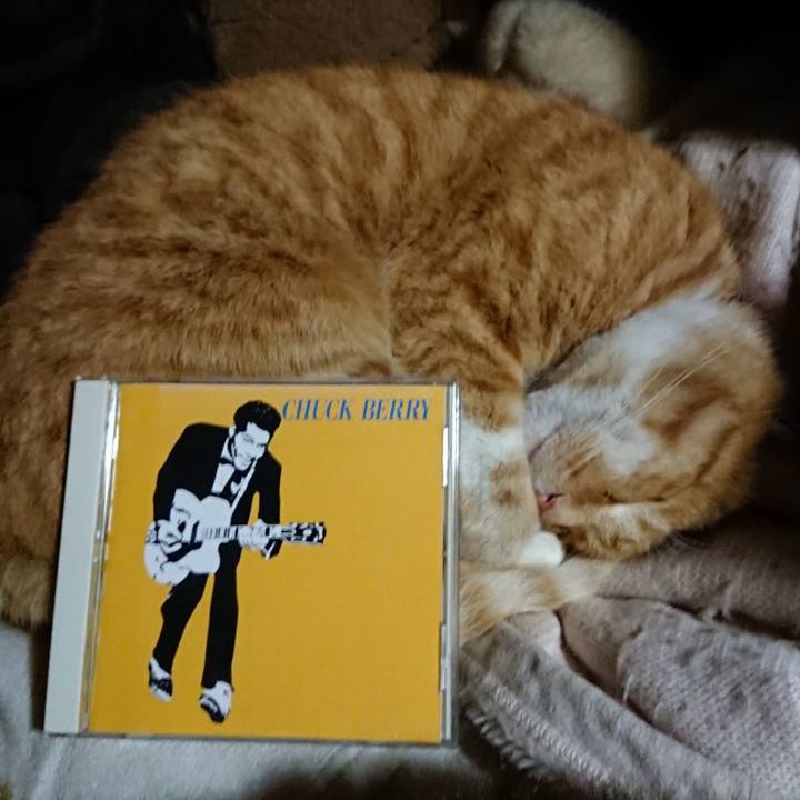 E50984bd fbcf 4035 9ab9 788b799880bd 1604833610137