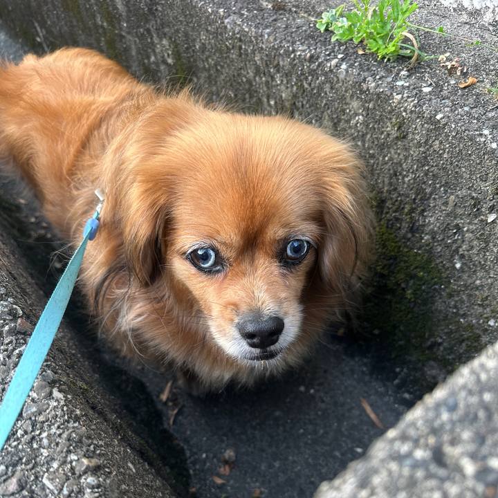 E5098682 c7df 49ef 8594 b8d92ea8ea0f 1690491567776