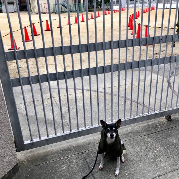 E509e017 8c3e 4f90 aa4a 5e968a1eecaf 1547095423423