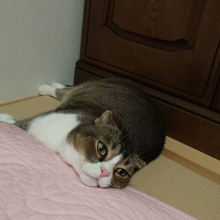 E50a17a5 faac 4a78 8a2e 9b3207da70d2 1561825925909