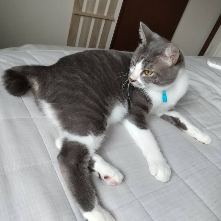 E50a315d 9ee9 4a48 93b0 cc37041120b8 1597615655453