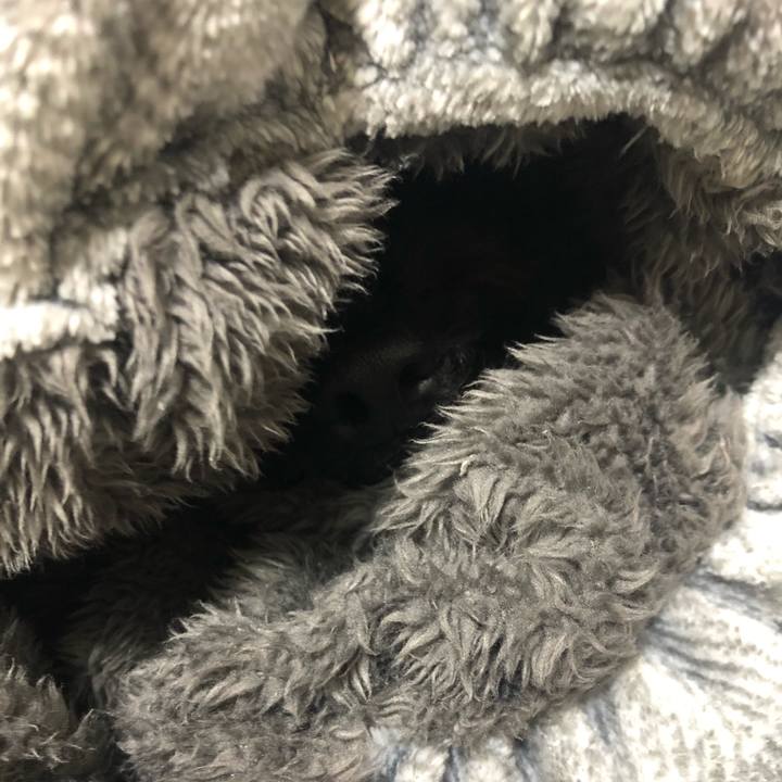 E50a8e47 7268 43cb 83d5 060634159806 1605270797139