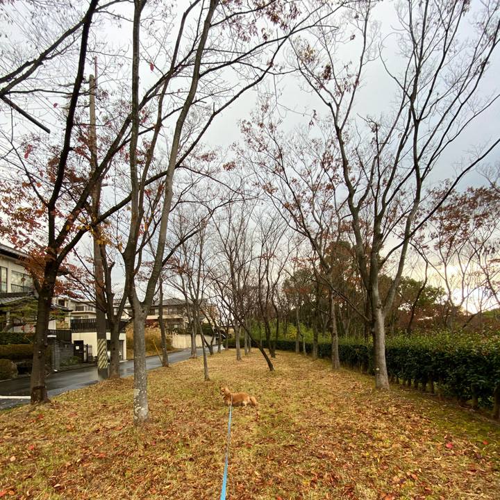 E50ab597 b9da 4973 bc26 b32eaf9eed64 1574553219977