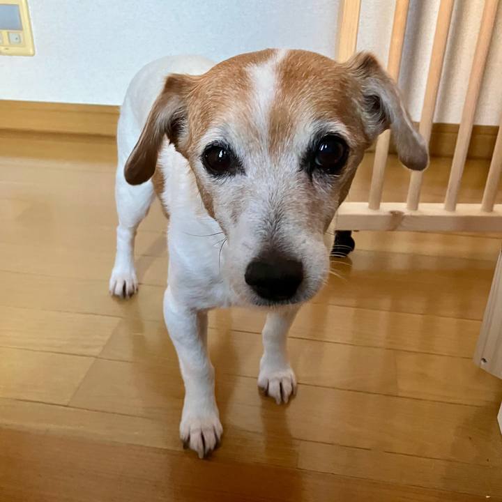 E50ade9f 0ec3 4d5c 86c7 75b541dc3e62 1706795901704