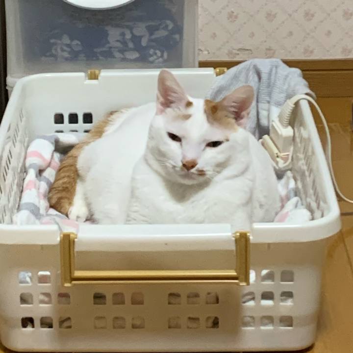 E50affc7 9bcc 4c26 9f3e 5410330ffcc2 1576148290647