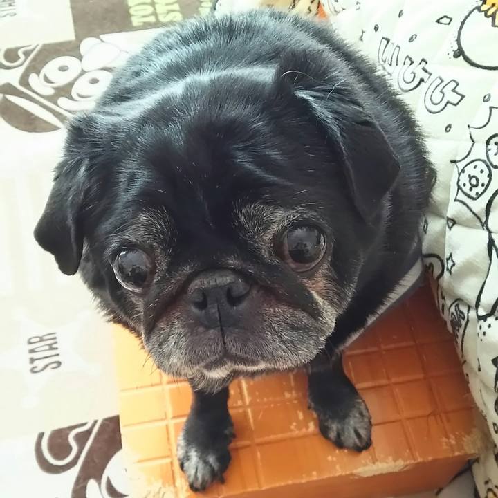 E50b2686 4d4d 45e9 a2c6 66d1c881269b 1539307717738