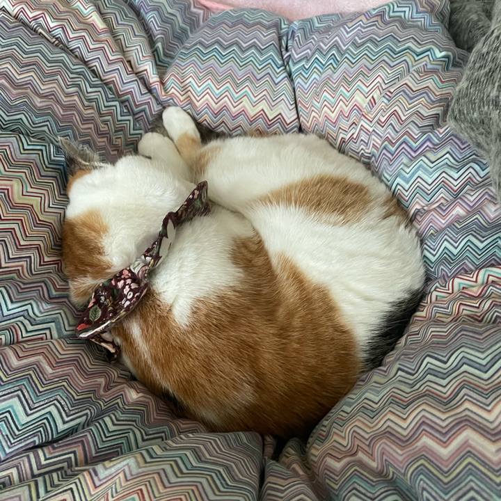 E50b3617 a14d 40a5 85d1 ce63a239b465 1734835529920