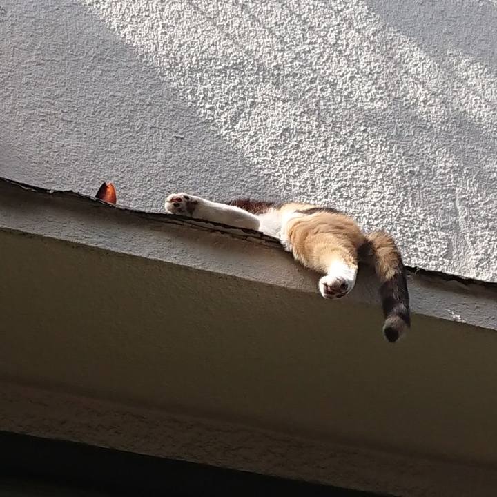 E50b9d89 3a95 4c4f 9e5a 4e80406fa865 1685144194877