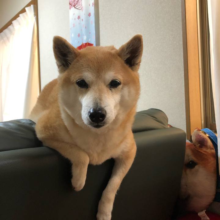 E50bb3b9 fe60 44c7 a9cc 53a7c0d3f68d 1585718002757