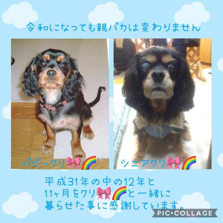 E50bd005 f7f8 41b0 adac 64c1590d7574 1556626411610