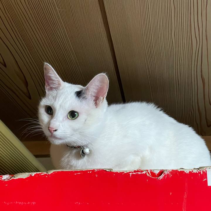 E50bdf0e 9243 4822 95a1 6590ebd838d2 1763592714944