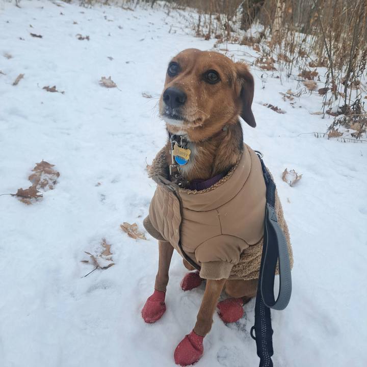 E50be842 a348 4408 980a f6f4e4cf8b54 1765810472996