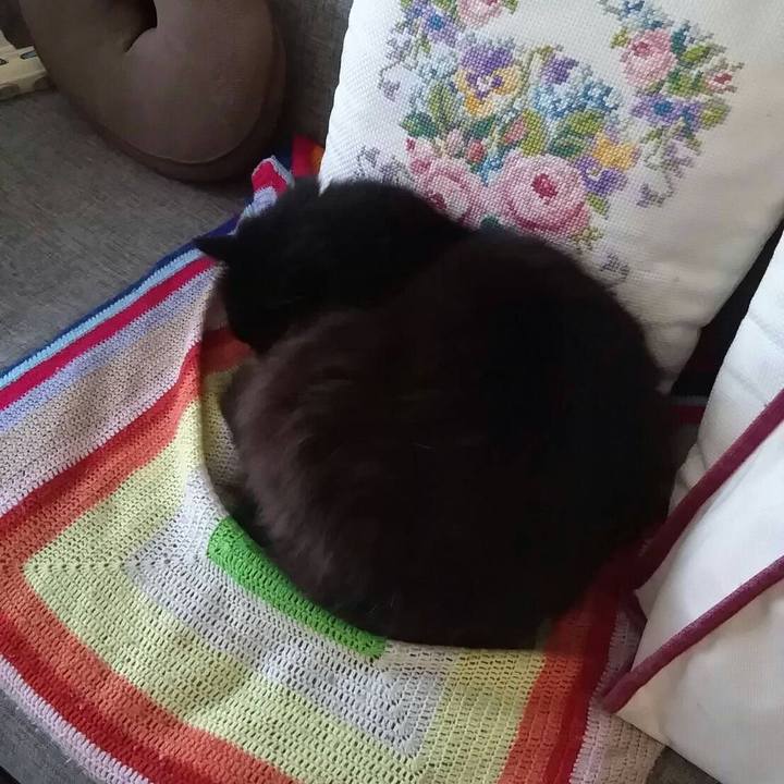 E50c06b9 8408 412f b8c9 e9b483c860fd 1524790784998