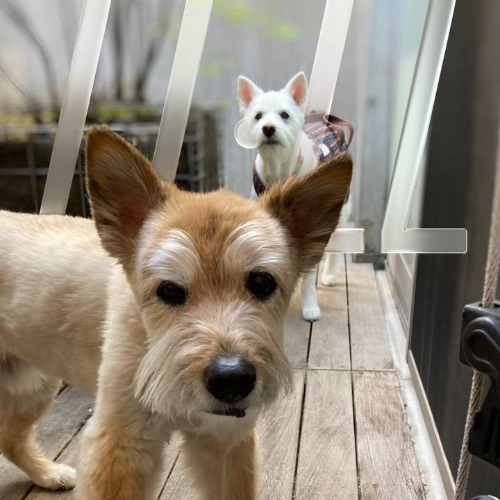 E50c3448 d34c 4f8c b96e eab3e942121b 1770384539643