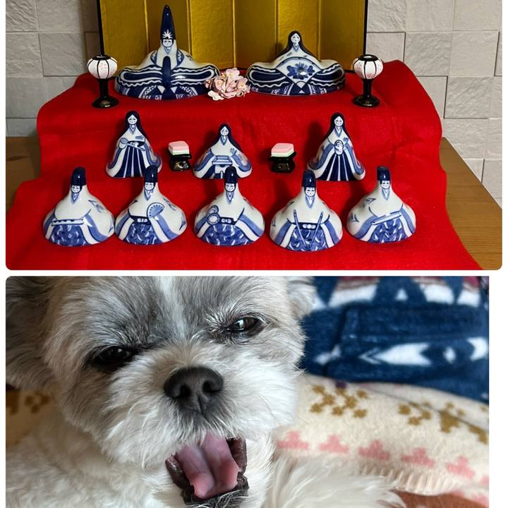 E50c5e0f 8d1d 43d7 9da8 e4096ed28dbf 1709453702212