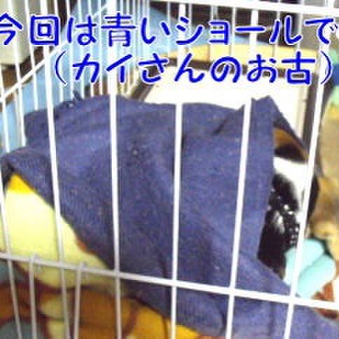 E50c790d d93b 4b26 af5e de0d53ccf81d 1677888450605