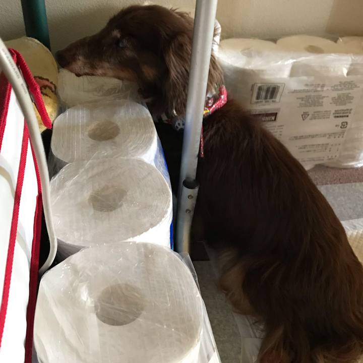 E50c8213 d3e4 42c3 b615 e21de4285854 1598510716960