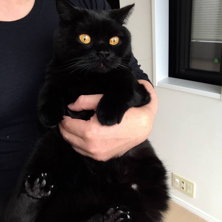 E50ca745 b98c 4a98 833d e957e543f775 1587253494764