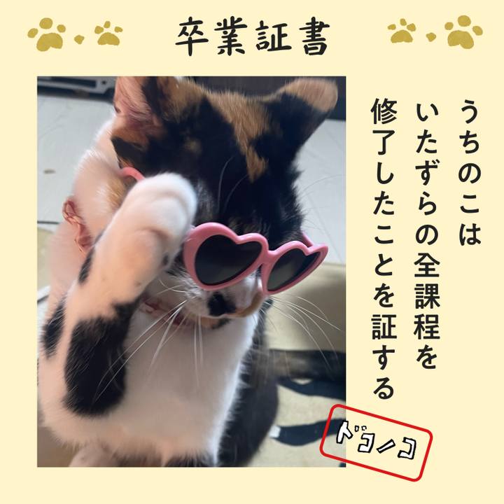 E50cbc68 4c24 4f9c 9863 5ff7e2d3ccc9 1771916717909