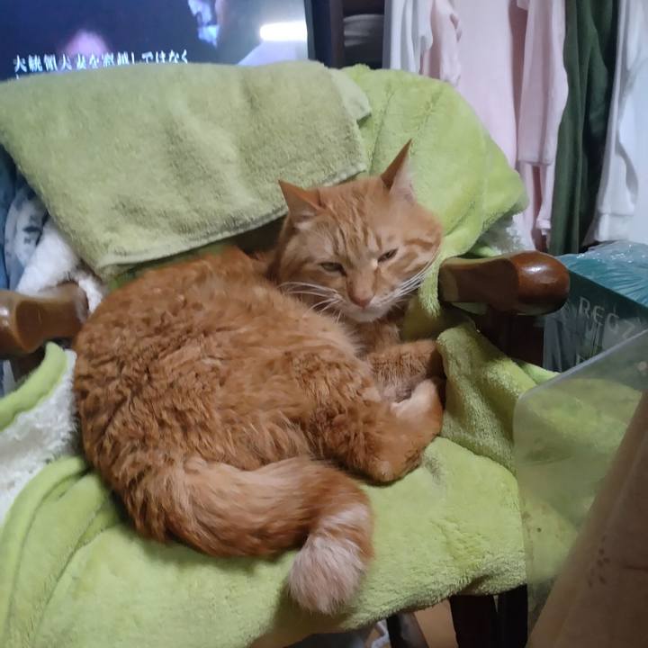 E50cf661 749e 4be1 8adc 2b39c0aab853 1767942795556