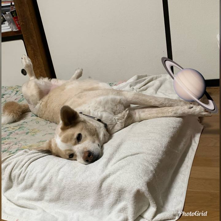 E50cf9b2 1ba1 4ba5 a70a e5a6fe745f10 1579967507651