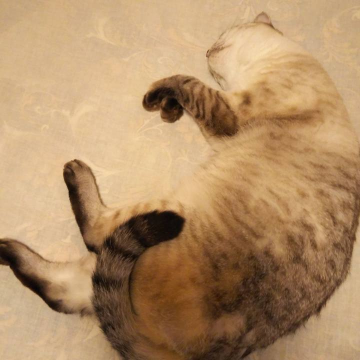 E50d0457 7e9e 4d13 ac7e f76e0aa148cc 1535379192675