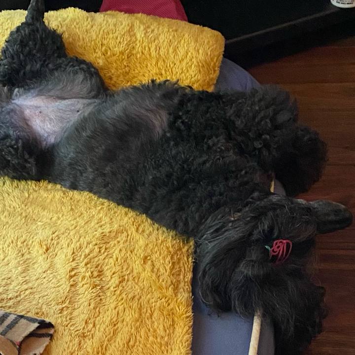 E50d1929 13fc 45bf 8691 167714548537 1684385943287