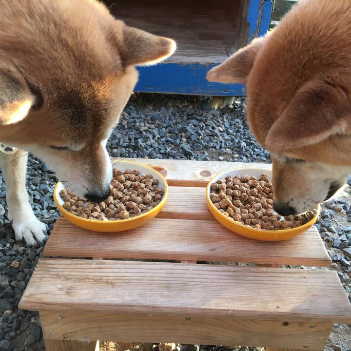 E50d4849 5a1b 44ac 91b4 3052058a32e2 1573993872904