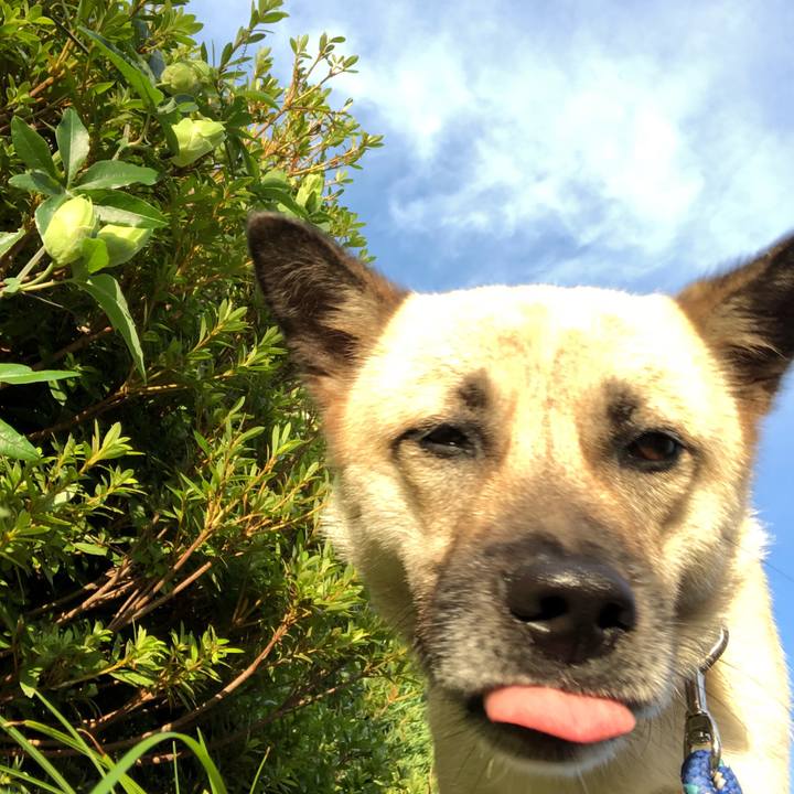 E50d5fd1 ea78 4344 9bf3 d066007b315c 1531131506093