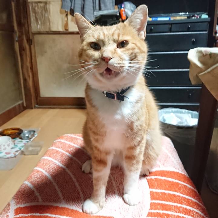 E50da34d f66d 4af9 9d56 9beeb1a46269 1605037821633