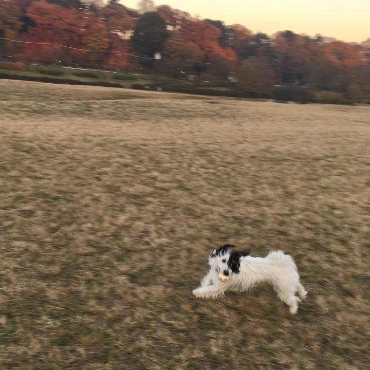 E50db166 e6c6 4824 b62a d86d91d3013e 1513029888784