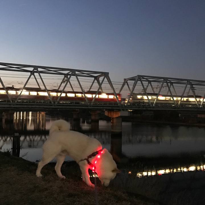 E50de517 82ac 48d2 b56c e3b6725e052a 1520849270486