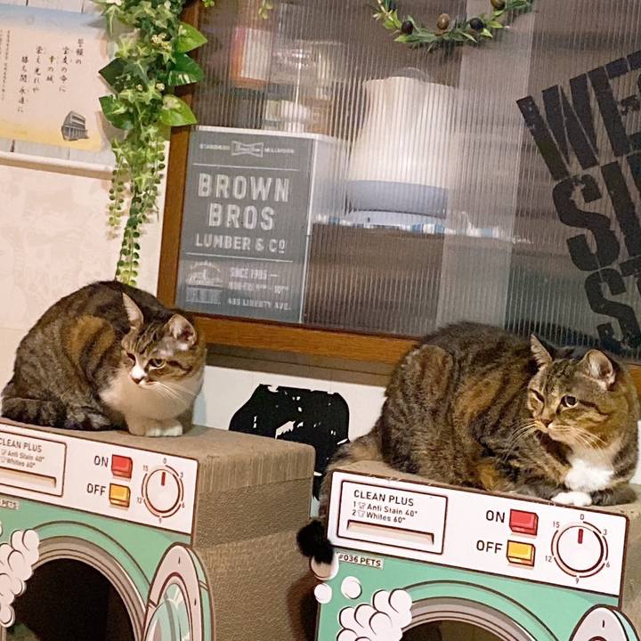 E50e1fa0 2b17 4b14 bdc8 b406bf24ad98 1698501884063