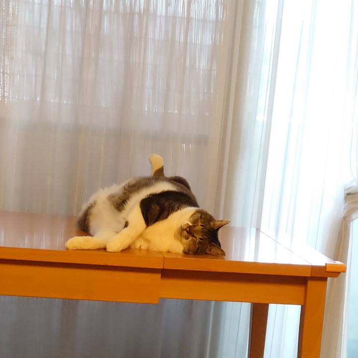 E50e2515 c9fc 4073 9d6c 47b132ce1247 1628819117981