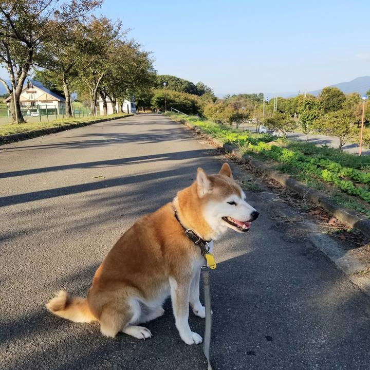 E50e4808 2e20 4b03 ba90 60d736681b8b 1632898871119