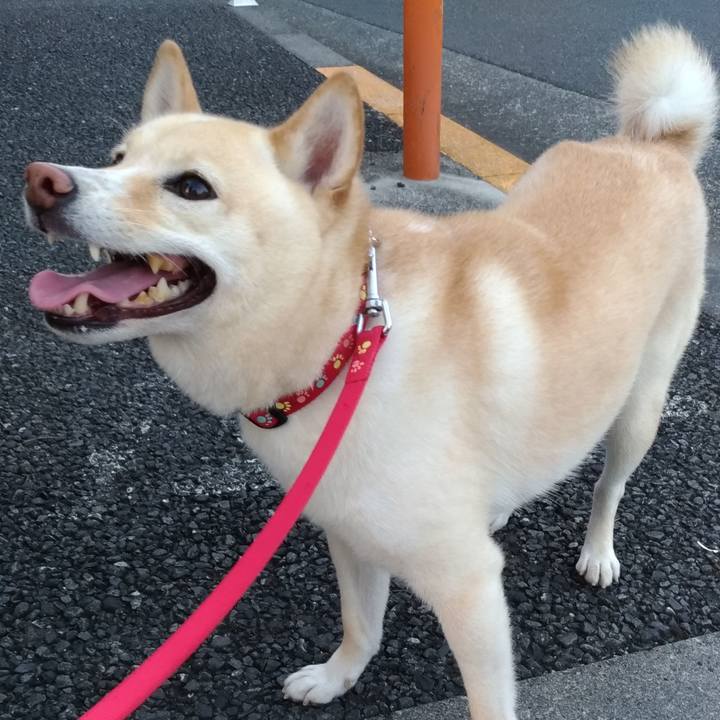 E50e51cd 46a5 470a a361 6da02b15101b 1598611810742