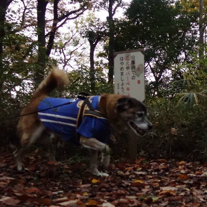 E50e531d 9694 49d5 815d 0349c0d1b963 1574727778103