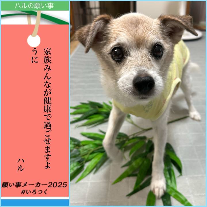 E50e834f a8b2 42e3 ae77 dc5c935c0de6 1751843430406