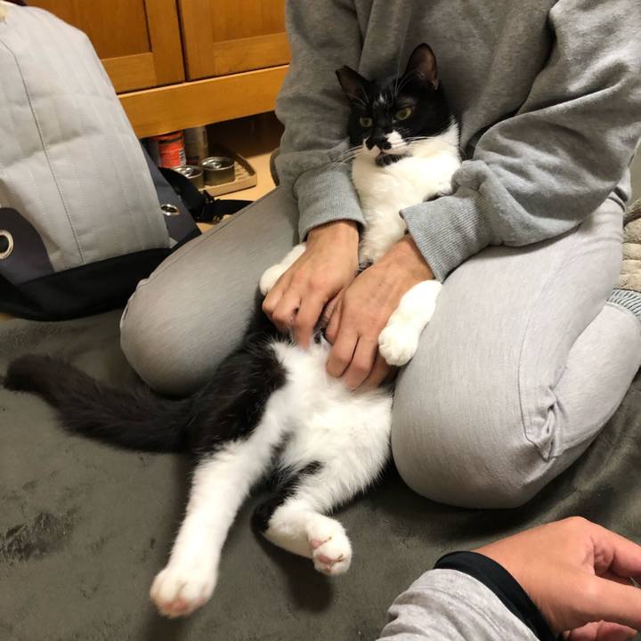 E50eaca9 ea57 485a b91f 0fa035710a37 1543851673460