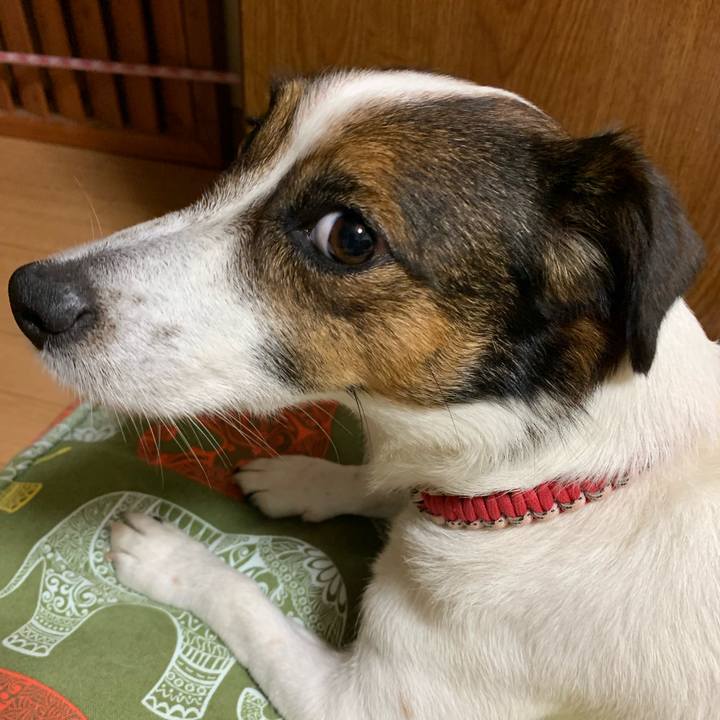 E50f3fa3 802c 4720 aab3 f4898f5b66dc 1562242172337