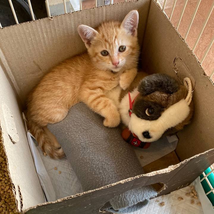 E50f8dc8 d19a 4b55 bd7b a46af3b48c5c 1656661295606