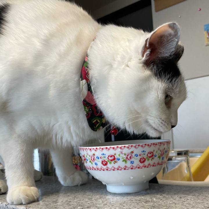 E50f8fc2 a9ae 4113 b707 3a0129bd33d2 1640648072321