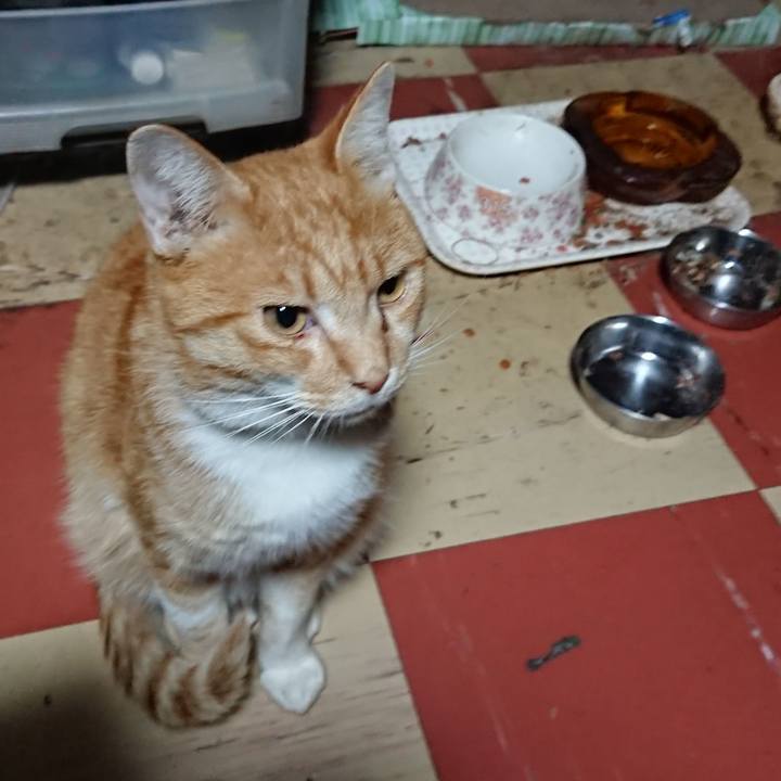 E50fa61e 100d 42f7 93a5 4db7708f383e 1571601021460