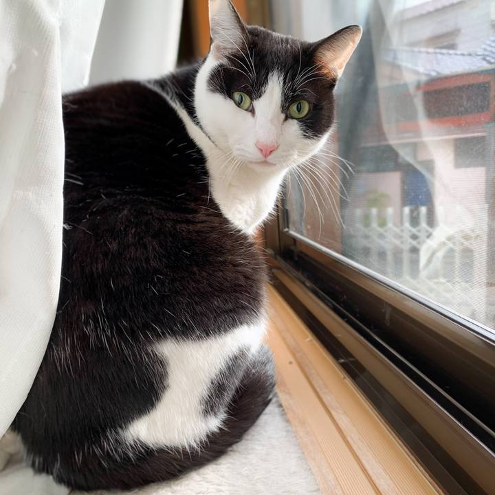 E50fb80e ba65 4f7d a1cf 102a36d34478 1581298879195