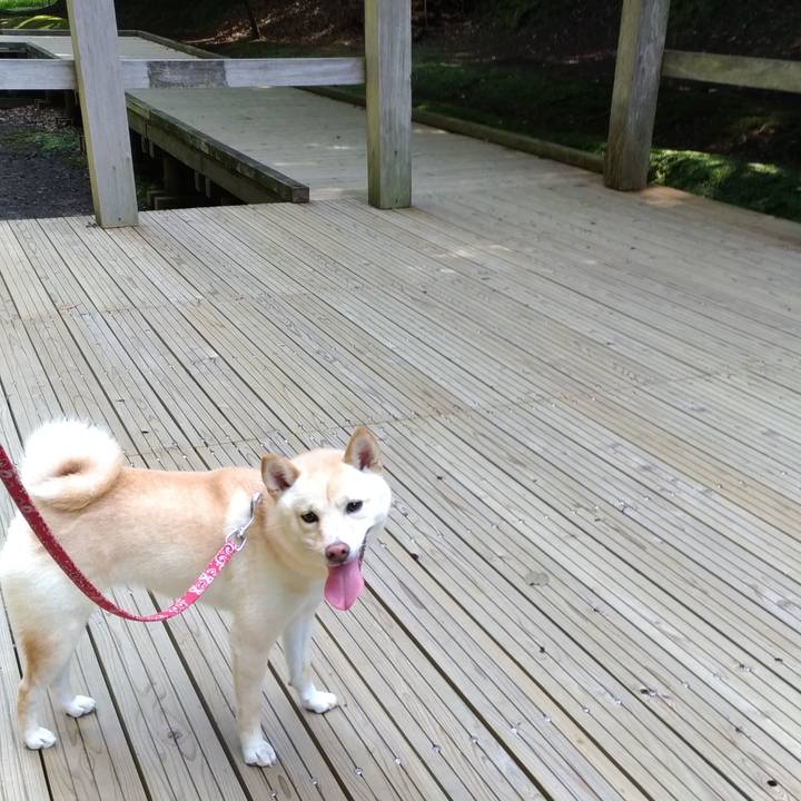 E50fd3fb 2067 428e a040 52c46c2ac34d 1531828912531