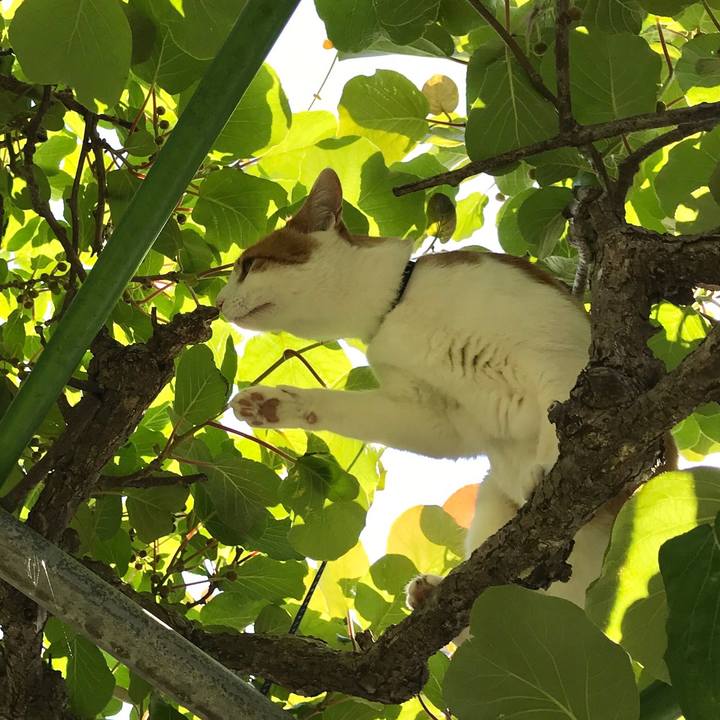 E51008fd ebee 4765 980c 91ca2233d694 1526882788408